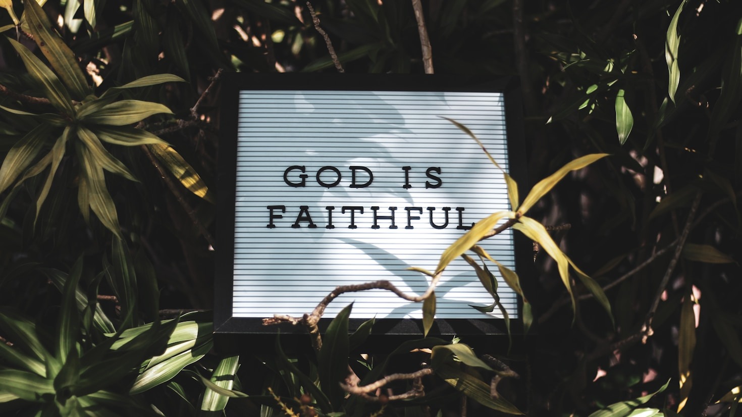 Finding Joy in God’s Word Every Day